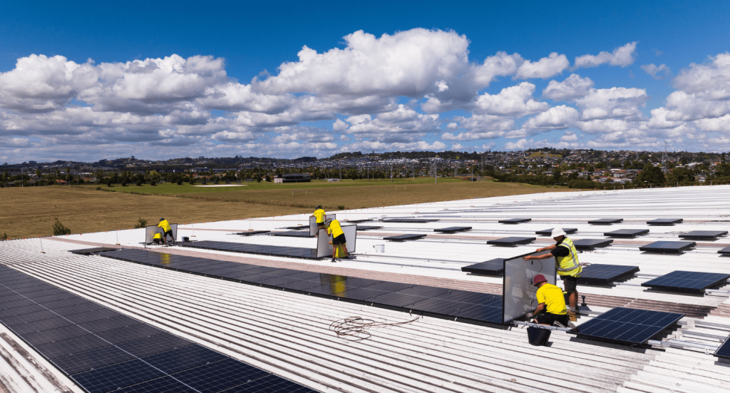 Lion NZ Solar - Resized