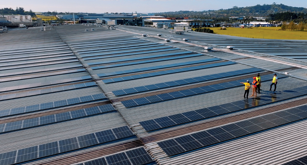 Lion Sustainability report